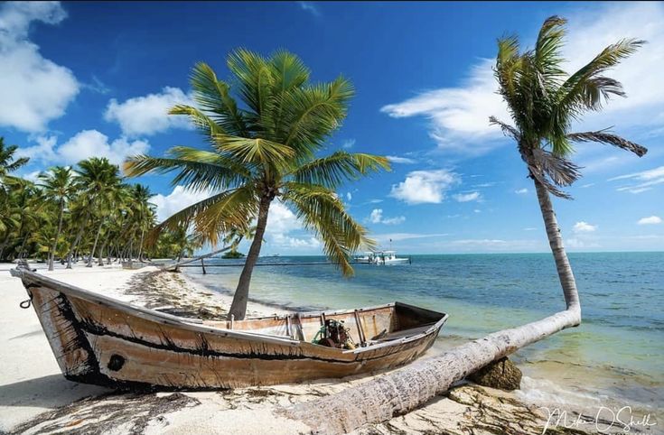 picture of florida